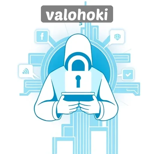 Keamanan dan Privasi Pengguna di Valohoki